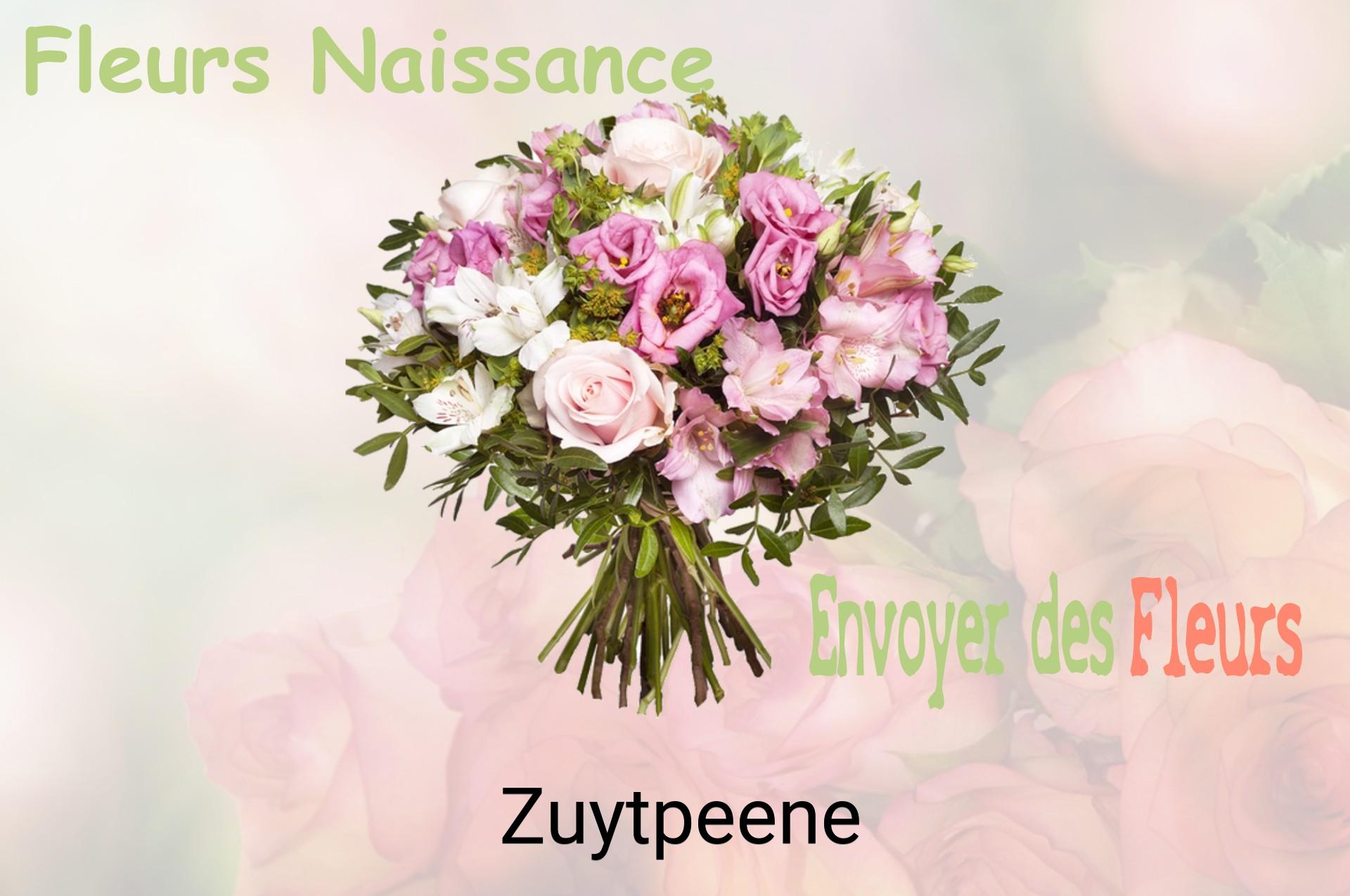 Bouquet de fleurs de naissance livré à Zuytpeene